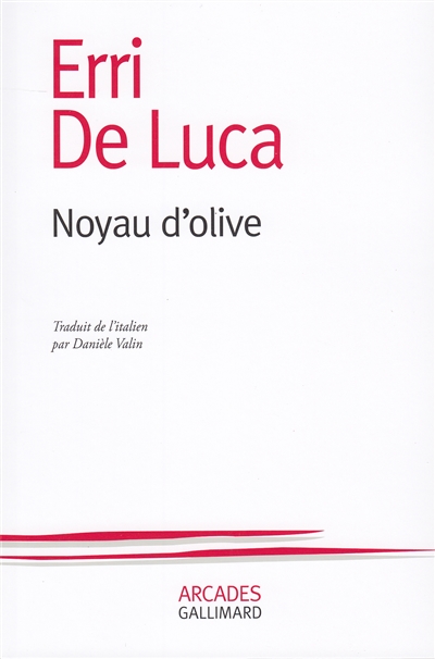 Noyau d'olive - 