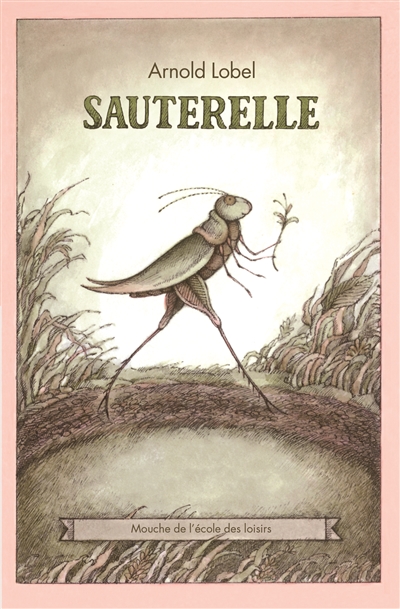 Sauterelle - 