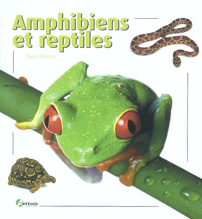 Amphibiens et reptiles - 