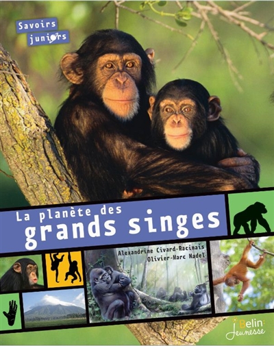 planète des grands singes (La) - 