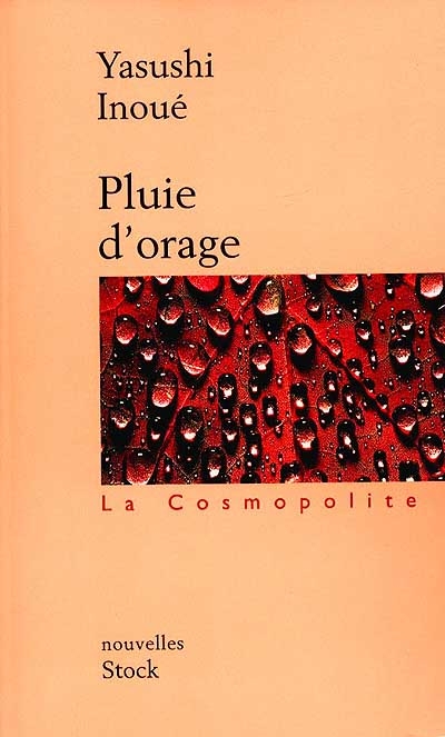 Pluie d'orage - 