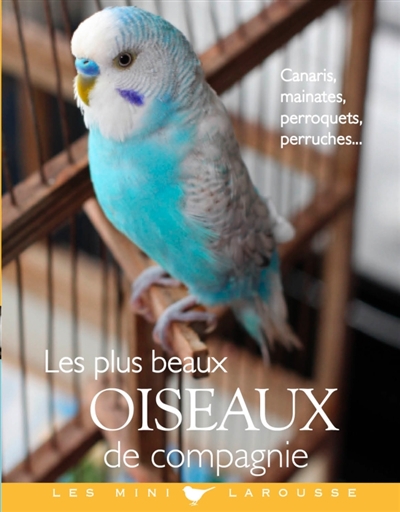 plus beaux oiseaux de compagnie (Les) - 