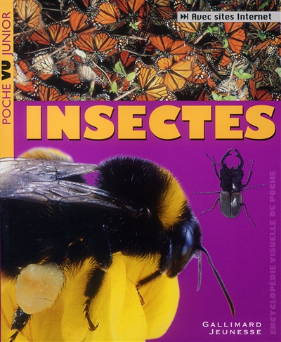 Insectes - 