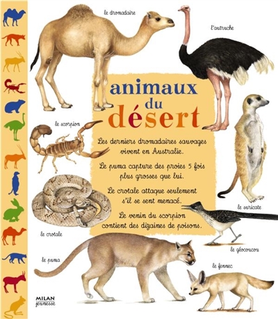 Animaux du désert - 