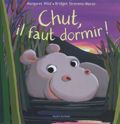 Chut, il faut dormir ! - 