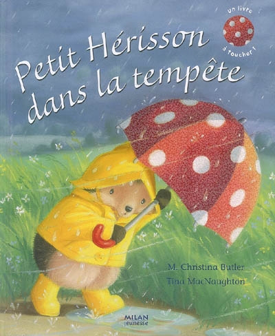 Petit hérisson dans la tempête - 