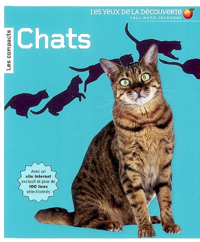 Chats - 