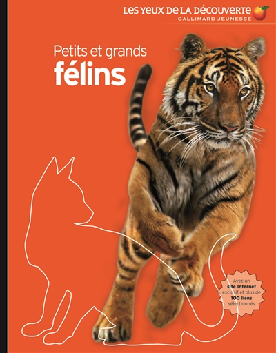 Petits et grands félins - 