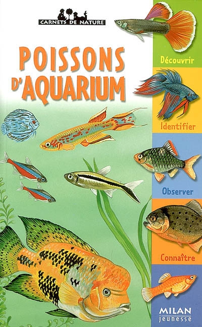 Poissons d'aquarium - 