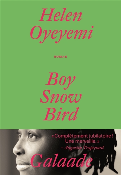 Boy, Snow, Bird - 