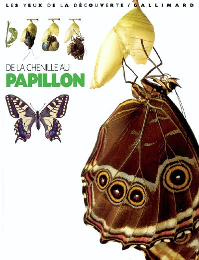 De la chenille au papillon - 