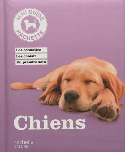 Chiens - 