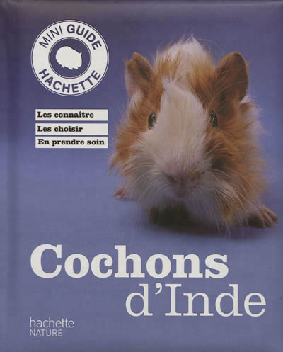 Cochons d'Inde - 