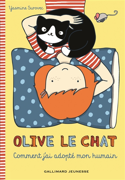 Olive le chat - 