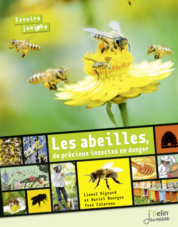 abeilles, de précieux insectes en danger (Les) - 