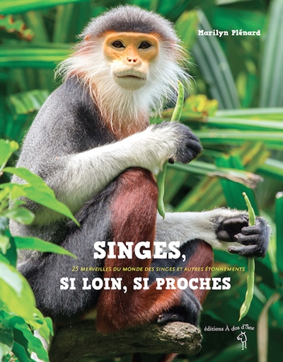 Singes, si loin, si proches - 