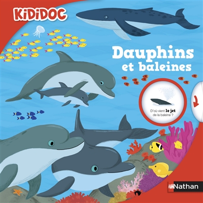 Dauphins et baleines - 