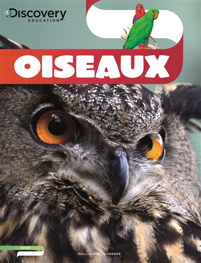 Oiseaux - 