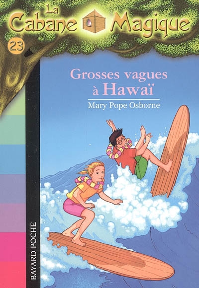 Grosses vagues à Hawaii - 