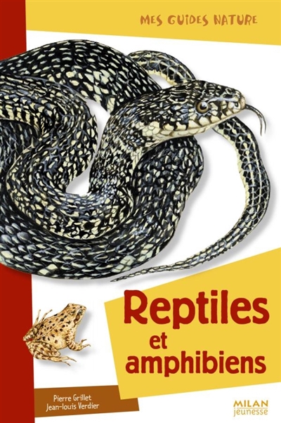 Reptiles et amphibiens - 