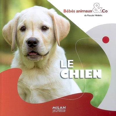 chien (Le) - 