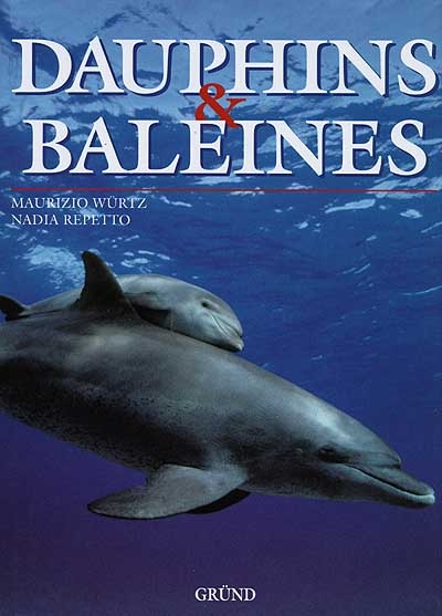 Dauphins et baleines - 