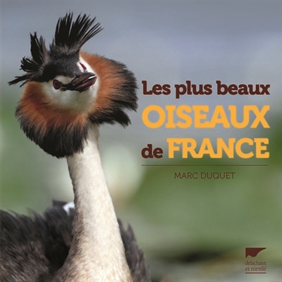 plus beaux oiseaux de France (Les) - 