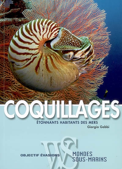 Coquillages - 