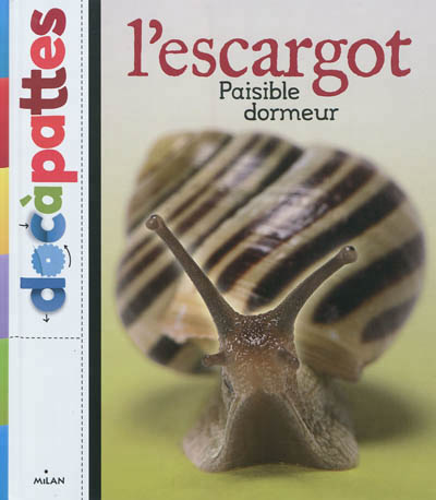 escargot, paisible dormeur (L') - 