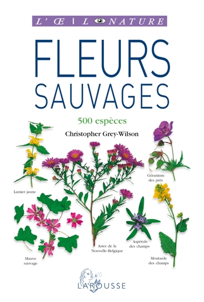 Fleurs sauvages - 