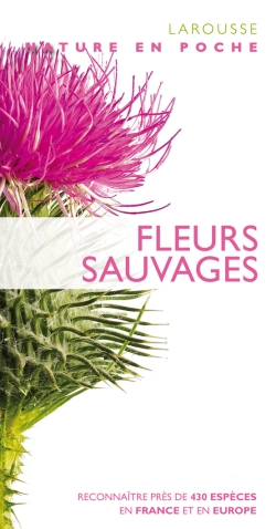 Fleurs sauvages - 