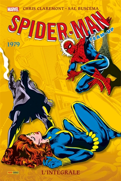 Spider-Man team-up - 