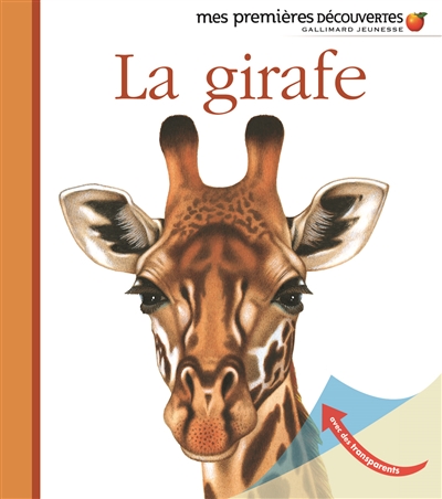 La girafe - 