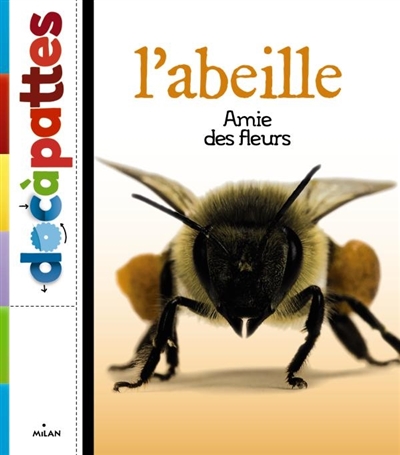 abeille (L') - 