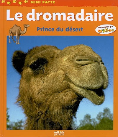 dromadaire (Le) - 