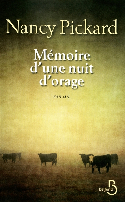 Mémoire d'une nuit d'orage - 