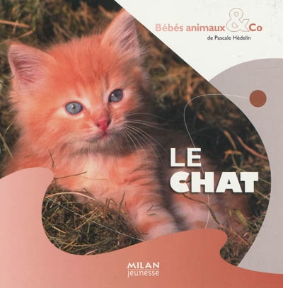 chat (Le) - 