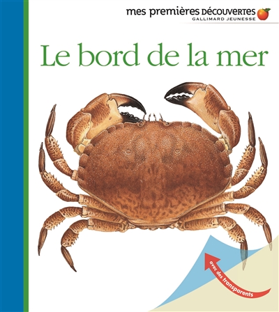 bord de la mer (Le) - 