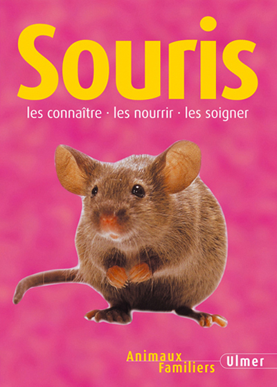 Souris - 