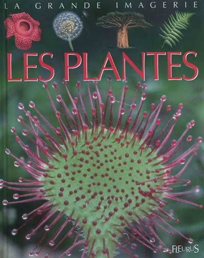 plantes (Les) - 