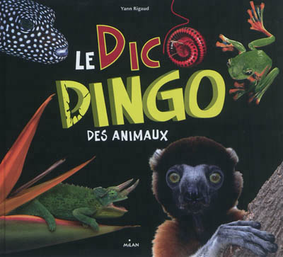 dico dingo des animaux (Le) - 