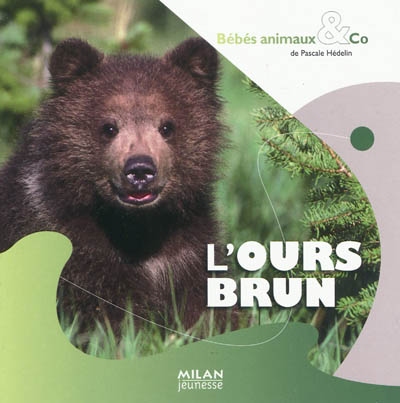 ours brun (L') - 