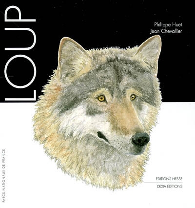 Loup - 