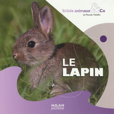 lapin (Le) - 