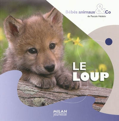 loup (Le) - 