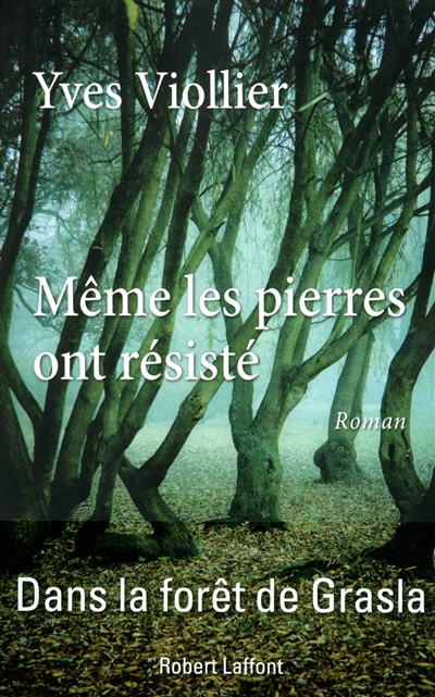 Même les pierres ont résisté - 