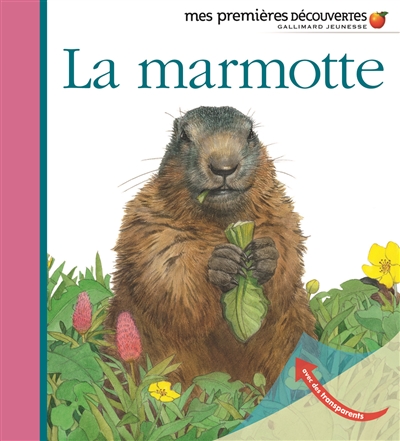 marmotte (La) - 