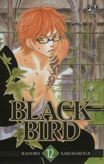 Black bird - 