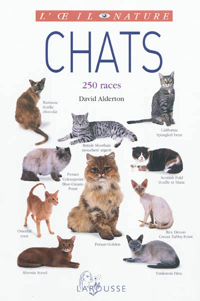 Chats - 