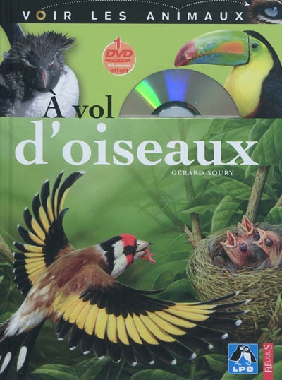 A vol d'oiseaux - 